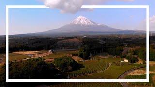 Actually the best Fuji View in Japan | Obuchi Sasaba Tea Fields in Shizuoka, Japan