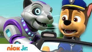 PAW Patrol & Cat Pack Stop Robot Cat! | Nick Jr.