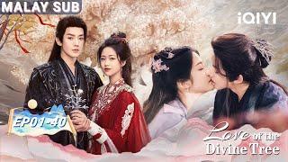 EP01-40Binge-watch Deng WeiXiang Hanzhi’s magical romance| Love of the Divine Tree |iQIYI Malaysia