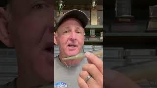 Ozark Jerkbait Secret