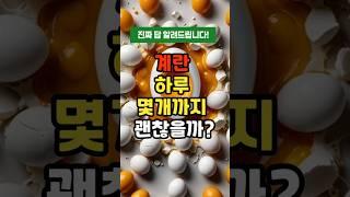 계란, 하루 몇 개까지 괜찮을까? 진짜 답 알려드립니다