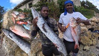 Big Mutton Snapper & Barracuda Speared Along With Huge Parrots