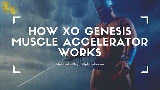 How Xo Genesis Muscle Accelerator Works in 2021