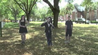 Steps to Become a Stetson Hatter (2011)