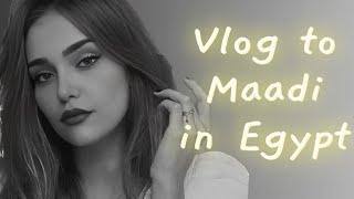 قضيت العيد في مصر لأول مرة | vlog to Egypt