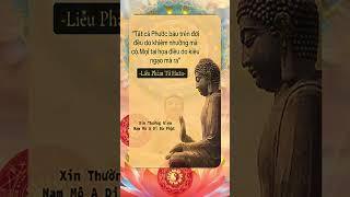 Lời Đức Phật Dạy Cách Rèn ĐỨC TÀI TRÍ TÍN Hiệu Quả #lờiphậtdạy