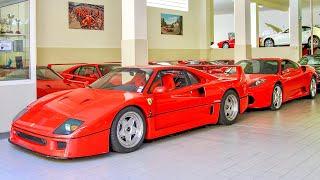 LA FOLIE CHEZ FERRARI ! 6 F40, 3 ENZO, 288 GTO, 512M...