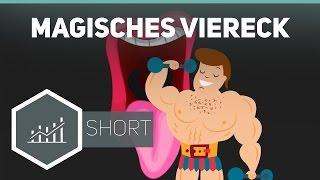 Magisches Viereck - Grundbegriffe der Wirtschaft