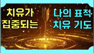 🩸치유가 집중되는 나의 표적 치유기도 / 읽는 기도책 저자, 무명의 목사님의 사모님