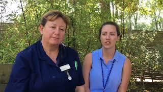 Centre for Sustainable Healthcare: Health Foundation