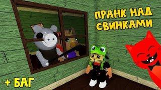 ДЕЗИНФЕКЦИЯ или ПРАНК над свинкой Пигги роблокс | Piggy roblox | Новый режим в игре Свинка Пигги