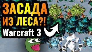 Cascraft: Как этот ПСИХ до этого додумывается?! Жрица, засада и ШОК в Warcraft 3 Reforged