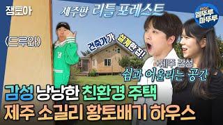 [#구해줘홈즈] 감성 넘치는 마당 있는 집, 근데 이제 친환경을 곁들인 제주 애월 소길리 황토배기 하우스ㅣ#양지은 #이찬원 #주택 MBC240509방송