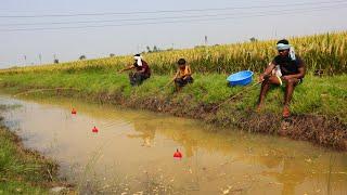 Fishing Video || Three expert fisherman fishing happily in the paddy field canal || Best hook trap