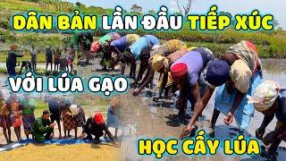 Quanglinhvlogs || Người Dân Bản Lần Đầu Được Tiếp Xúc Với Lúa Gạo - Học Cấy Lúa.