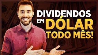 DIVIDENDOS EM DÓLAR: 4 ações e REITs pagadores de dividendos!