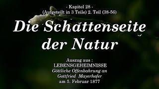 GOTTES WORT - Lebensgeheimnisse - DIE SCHATTENSEITE DER NATUR 2.Teil - Kap. 28 Gottfried Mayerhofer