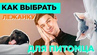 Как выбрать лежанку для питомца 