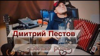 Белые розы - под гармонь.  Дмитрий Пестов