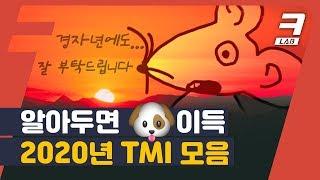 2분 순삭 알아두면 개이득 2020 TMI 총정리