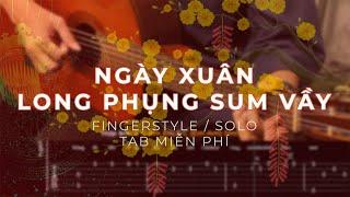 NGÀY XUÂN LONG PHỤNG SUM VẦY | Fingerstyle / Guitar Solo Tab