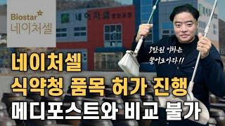 네이처셀 - 식약저 품목허가 진행 , 메디포스트와 비교대상 불가 , 3만원이하는 쓸어모아라