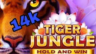 Tiger jungle ll BNG SLOT ll #slotgame