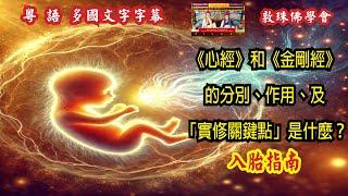 《心經》和《金剛經》的分別、作用、及「實修關鍵點」是什麼？ (粵語中文字幕) 76慈悲心與菩提心的觀修方法 啤嗎哈尊金剛上師 敦珠佛學會