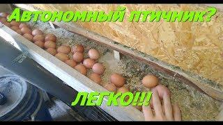 Автономный курятник. Жизнь на даче