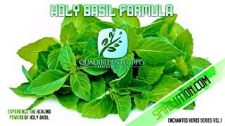  Công thức chữa bệnh Holy Basil (Tulsi)  Tính toàn vẹn bốn mặt (Thảo dược mê hoặc Vol 1.)