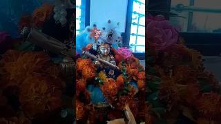 KANHA Ji #kanha #kanhaiya #krishna #krishnabhajan #krishnastatus #bhakti bhajan krishna bhajan song