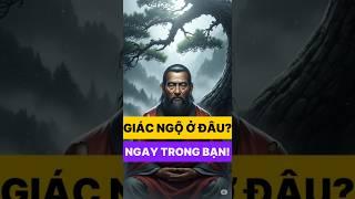 Giác Ngộ Không Cần Tìm – Chỉ Cần Thấy Rõ Tâm