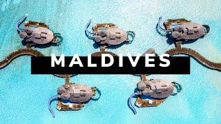 MALDIVES TRAVEL DOCUMENTARY | The Pearls of the Indian Ocean