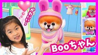 ペットのブーちゃんをお世話するよ 世界一かわいい犬 Boo ゲーム 実況 Boo - The World's Cutest Dog