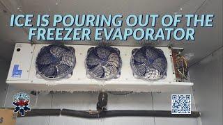 ICE IS POURING OUT OF THE FREEZER EVAPORATOR
