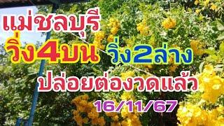 แม่ชลบุรี.ปล่อยต่องวดแล้ว16/11/67