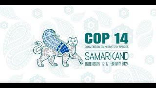 CMS COP14 - High-level Segment [ENGLISH] / 11 Feb 14-18 UZT