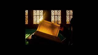 #islamicshorts #islam #quran #quranrecitation #shorts #views #viral #subscribetomychannel #trending