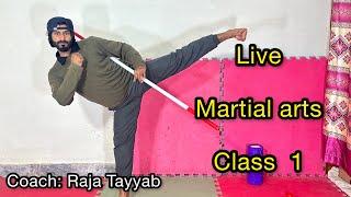 Live martial arts and fitness session with raja tayyab lesson 1 ||karate class #karate #taekwondo