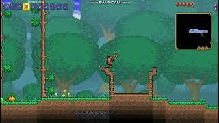 Terraria строю дом