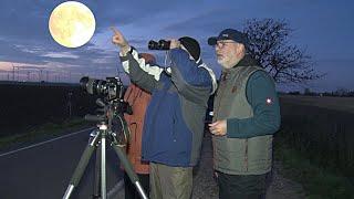 PUNKTum Sternfreunde beobachten Supervollmond und Komet in Sandersleben