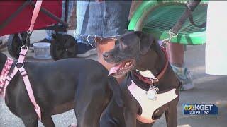 Blessing of the animals in Bakersfield