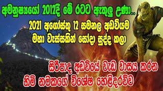 අමනුෂ්‍යයෝ 2012 දී මේ රටට ඇතුලු උණා..සිරිපා අඩවියේ වැඩ වාසය කරන හිමිනමකගේ විශේෂ හෙළිදරව්ව| SiwhelaTV