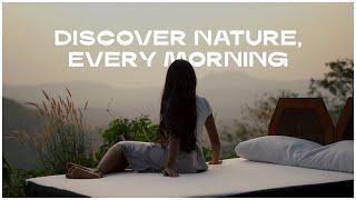 Morning Owl™ - 100% Natural Latex Mattresses | Discover Natural Freshness Every Morning