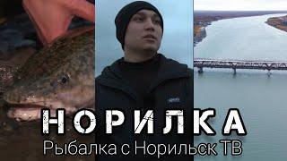 Рыбалка на налима на реке Норильская с Норильск ТВ