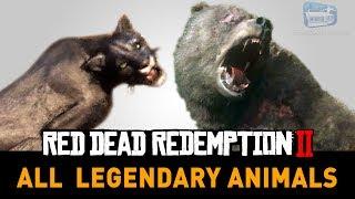 Red Dead Redemption 2 All Legendary Animals