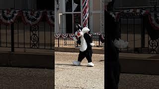 Sylvester The Cat @ The Character Dance Party Six Flags St. Louis