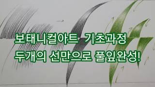 보태니컬아트 기초,풀잎 그리기