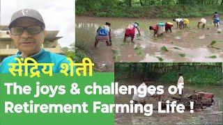 निवृत्ती नंतर सेंद्रिय शेतीत रमणारा आमचा मित्र I The joys & challenges of Retirement Farming Life !