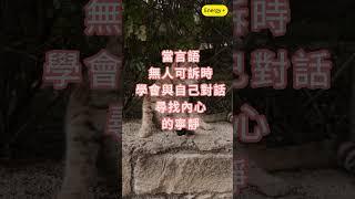 489 #positive  #心靈語錄 #brave #energy #courage #brave